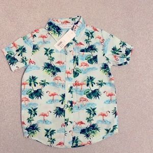 Flamingo Janie and Jack shirt!